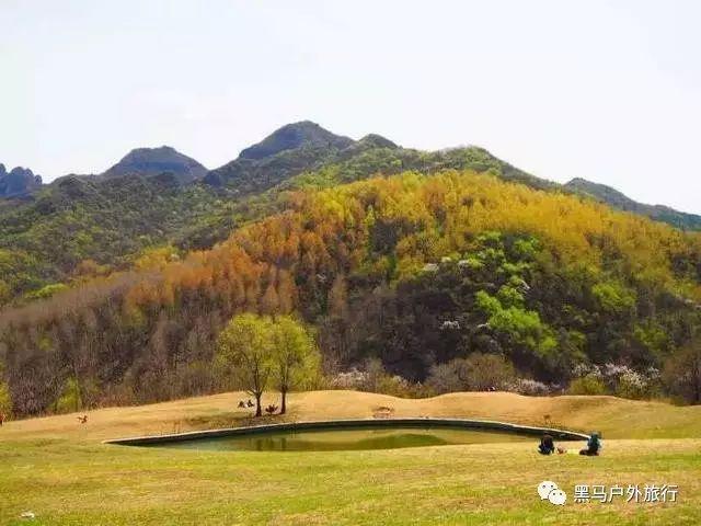 CBA战报:山东104-100江苏,特洛伊-阿吉姆-吉伦沃特27+9+3