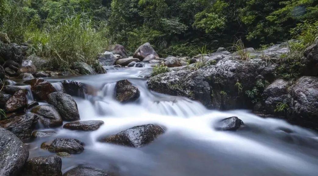 新熊出没找不同
